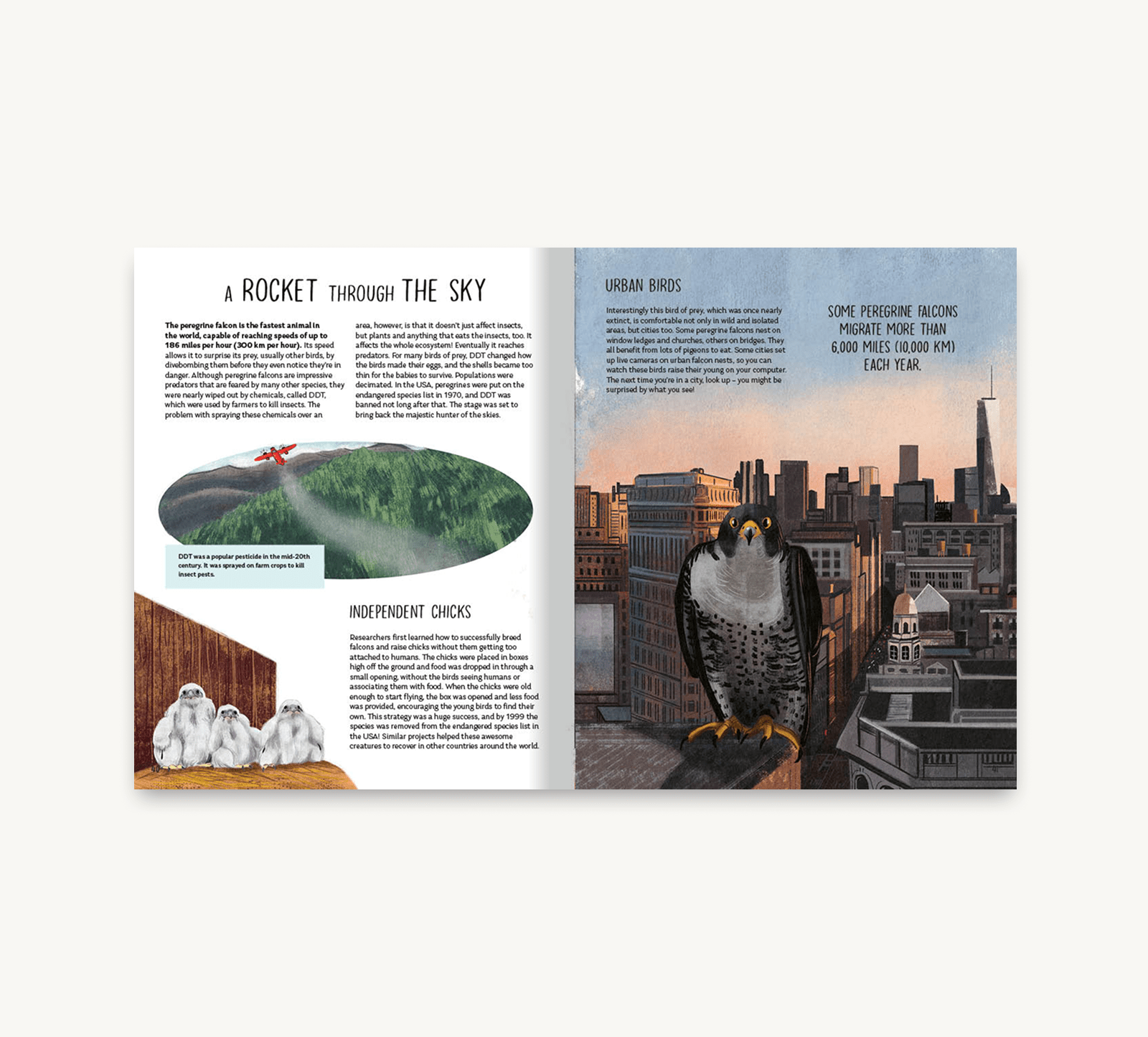 Double-page spread from a book with illustrations of a rocket, birds, and a cityscape.