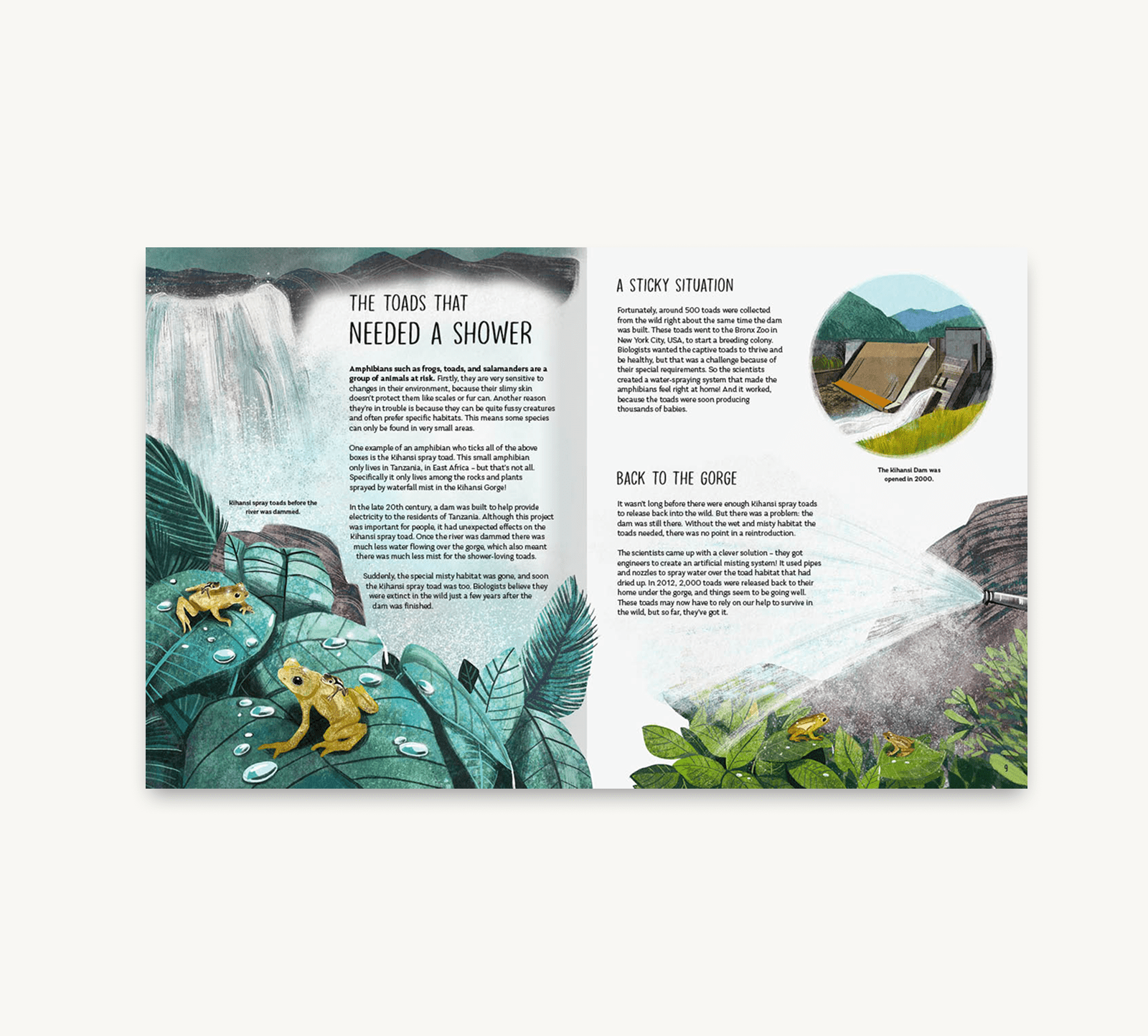 Illustrated book page with toads in a jungle setting and a small house.
