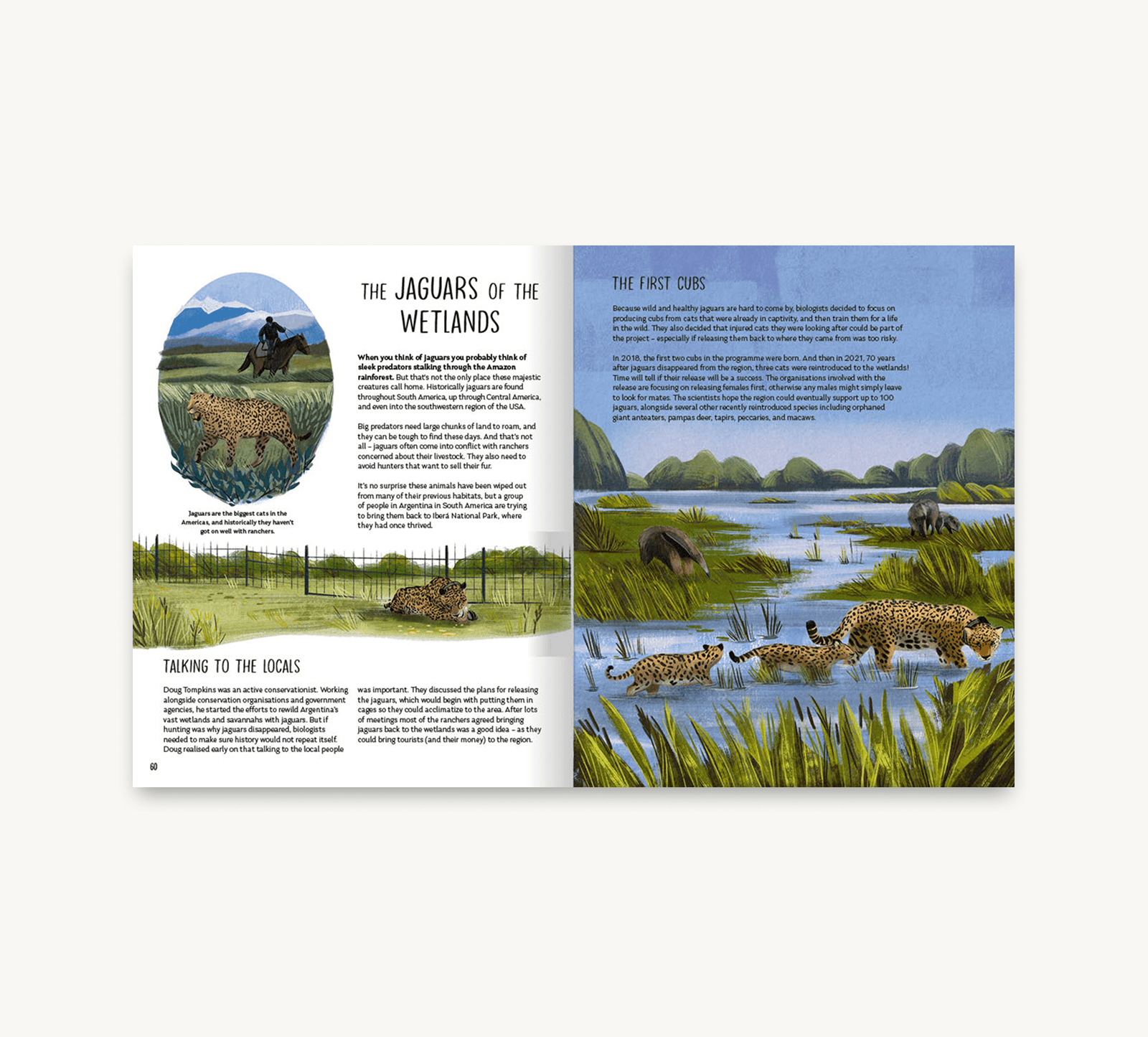 Open book showing illustrations of jaguars in a natural setting