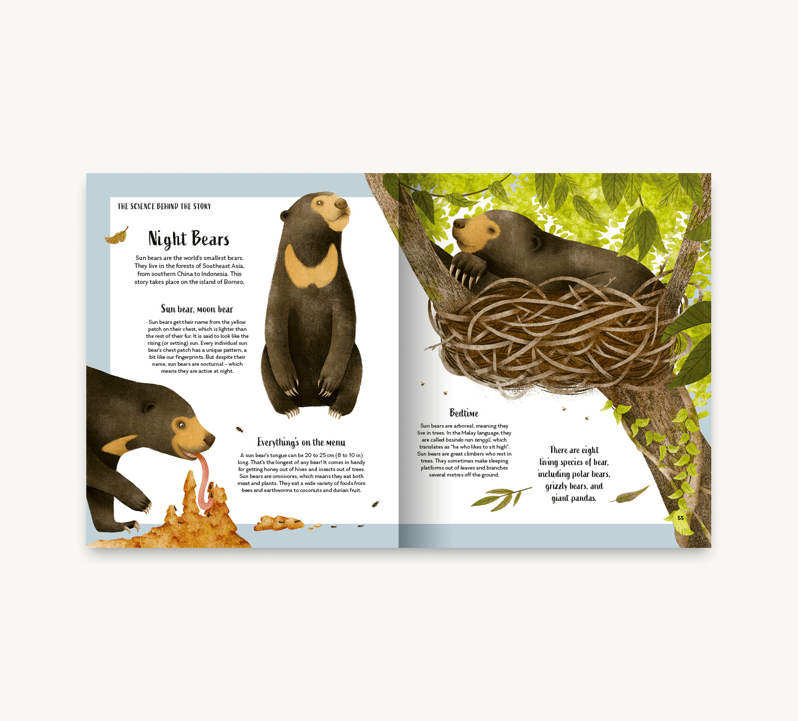 Open book showing illustrations of bears and a nest, with text on a white background.
