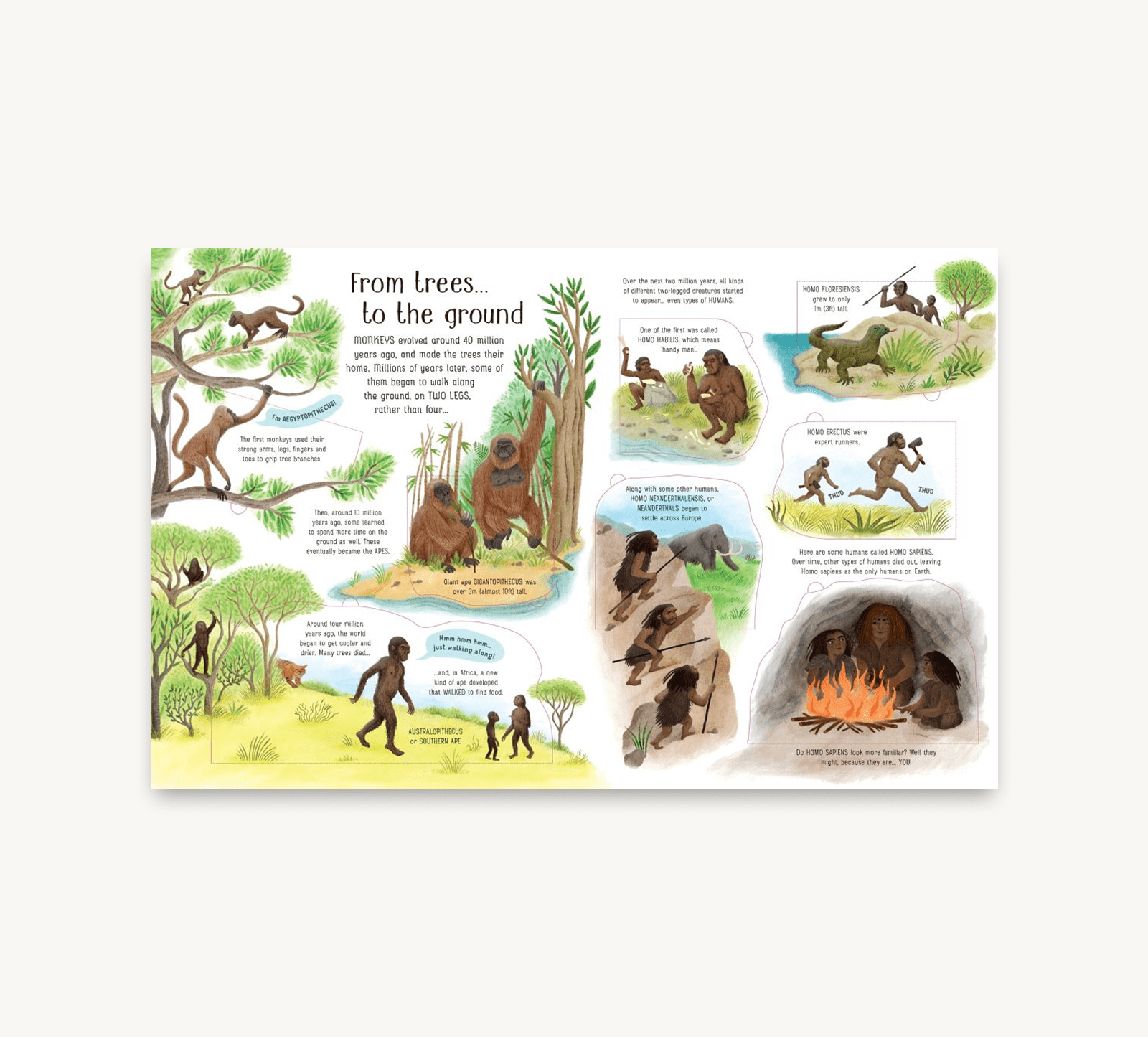 Educational poster about human evolution with illustrations of early humans and animals.