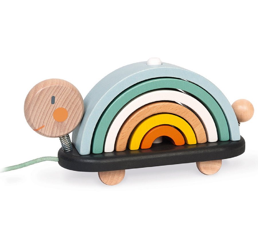 Wooden toy turtle with a rainbow-colored body on a white background