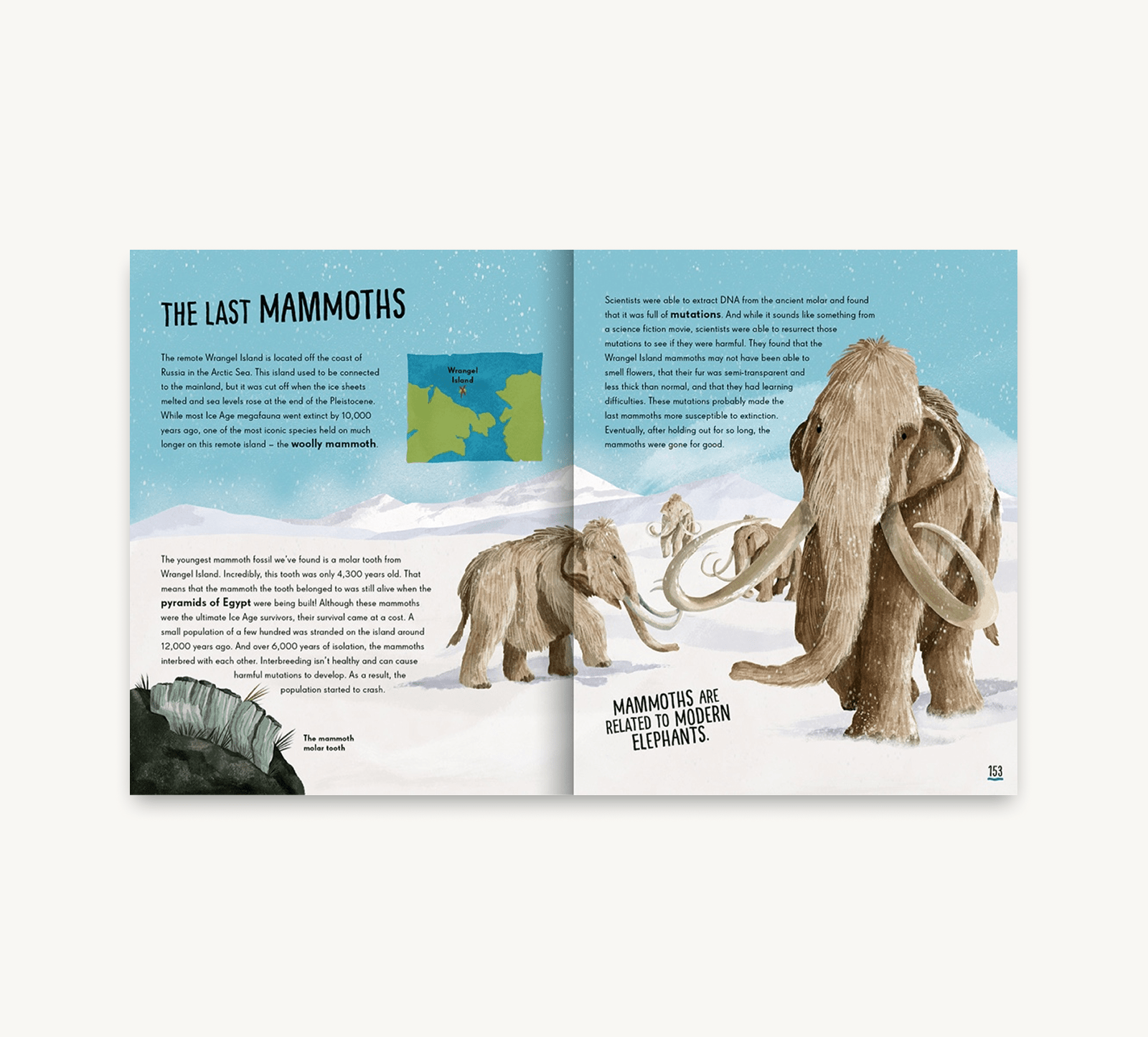 Tales of the Prehistoric World: Adventures from the Land of the Dinosaurs - Haliburtons & Co.