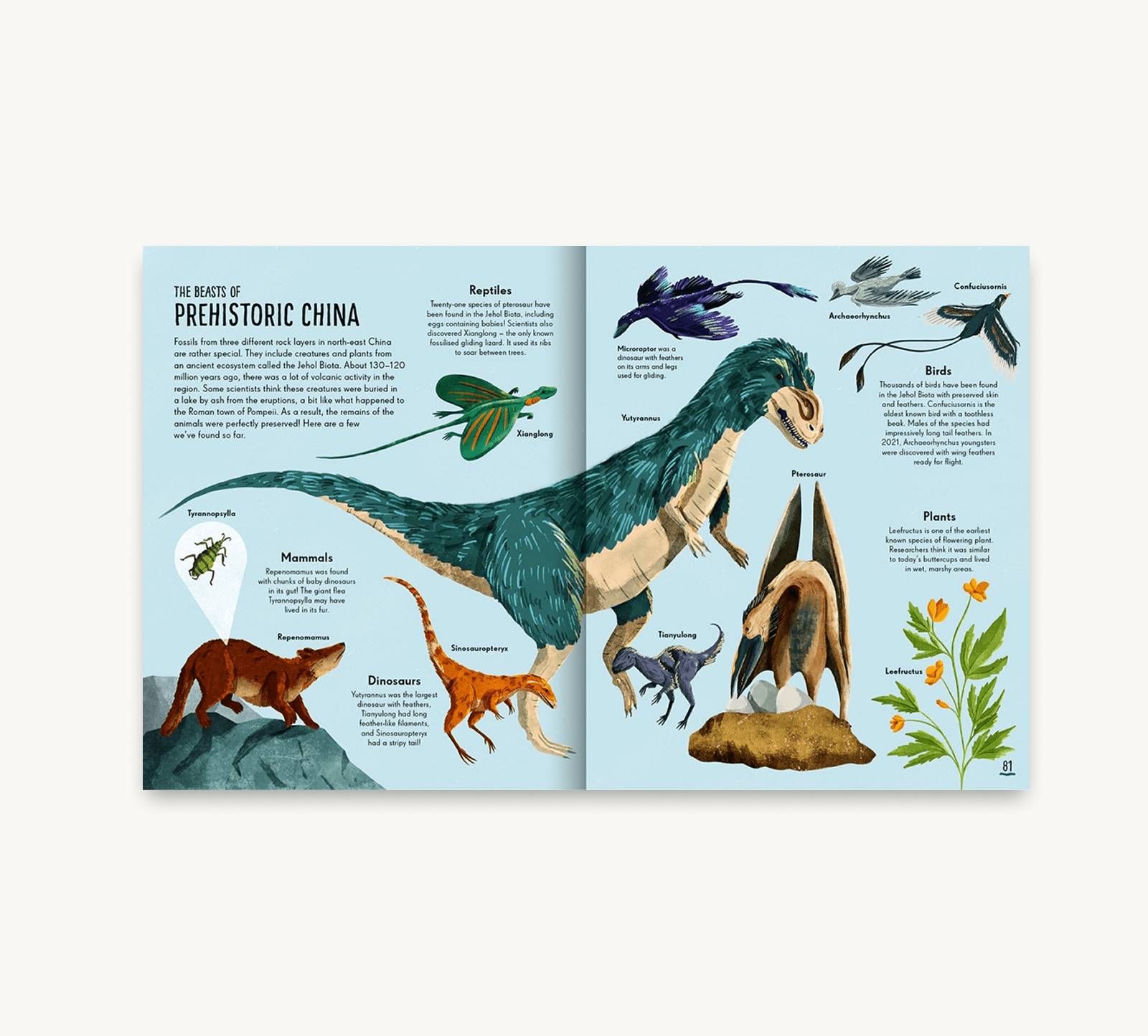 Illustrated book open to a page about prehistoric animals and plants in China
