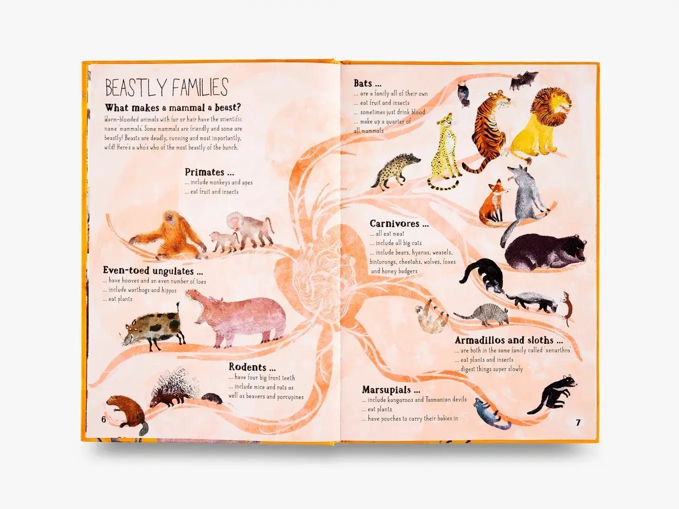 The Big Book of Beasts - Haliburtons & Co.