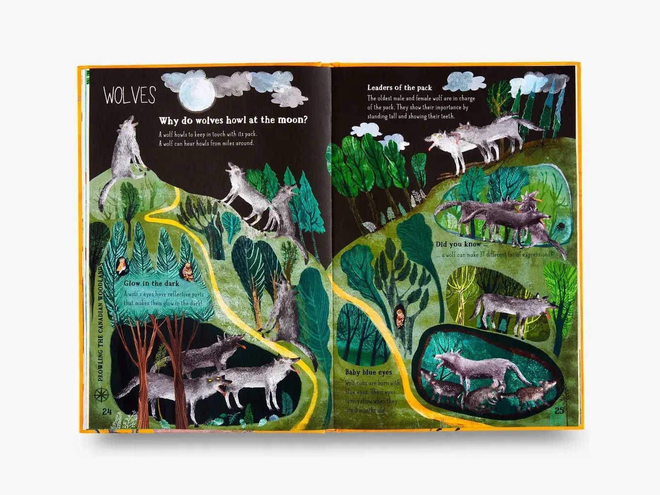 The Big Book of Beasts - Haliburtons & Co.