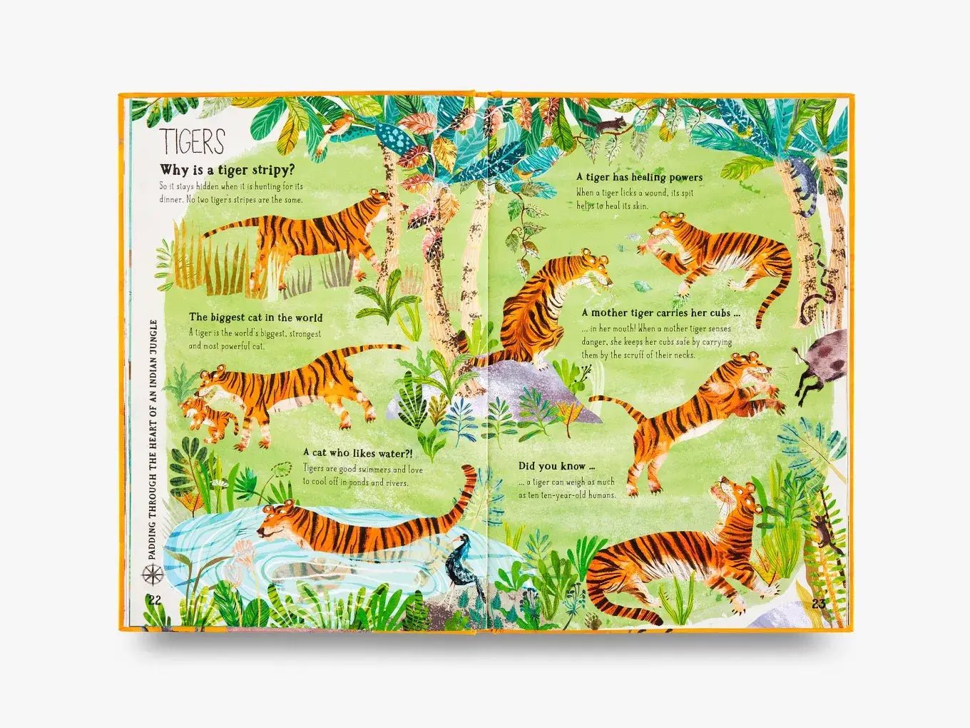The Big Book of Beasts - Haliburtons & Co.