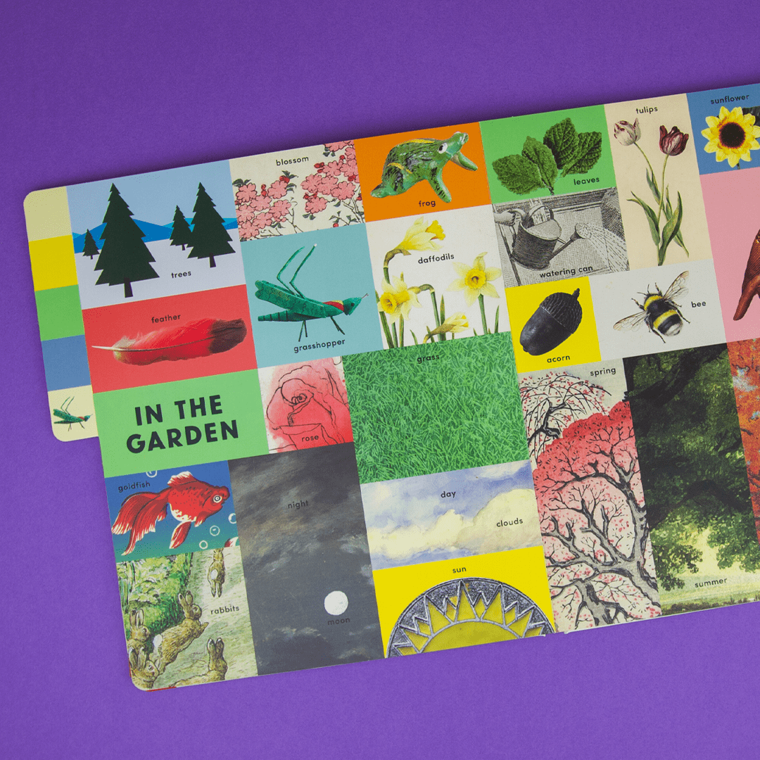 Educational card with various illustrations of plants, animals, and nature on a purple background
