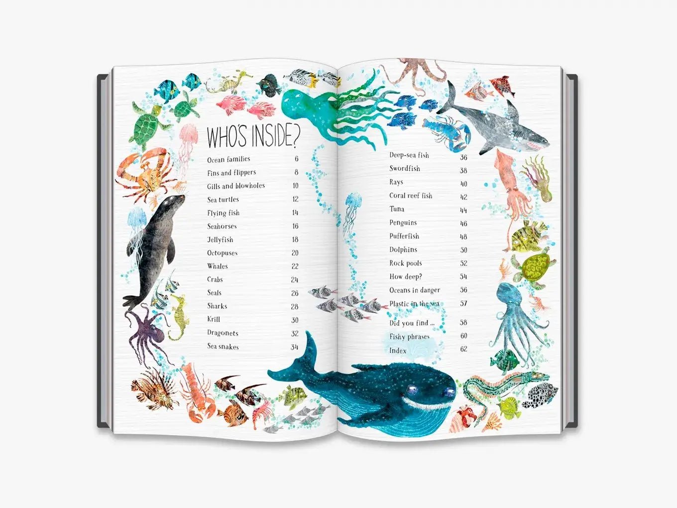 The Big Book of the Blue - Haliburtons & Co.