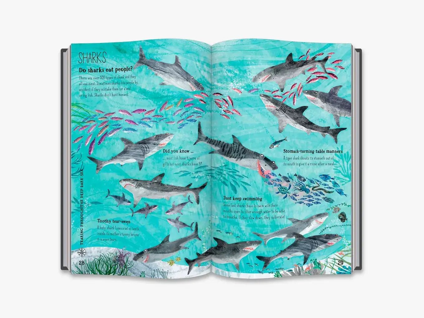 The Big Book of the Blue - Haliburtons & Co.