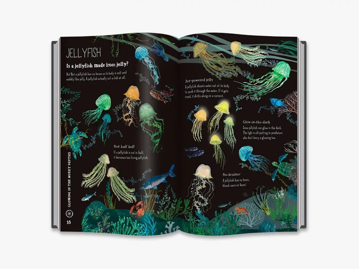 The Big Book of the Blue - Haliburtons & Co.