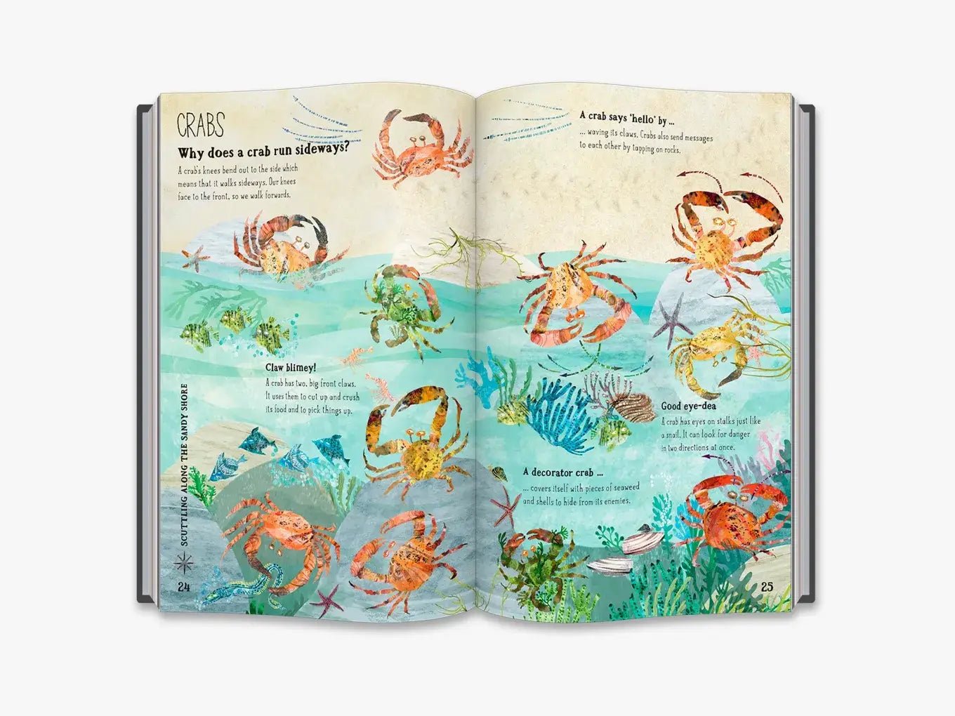 The Big Book of the Blue - Haliburtons & Co.