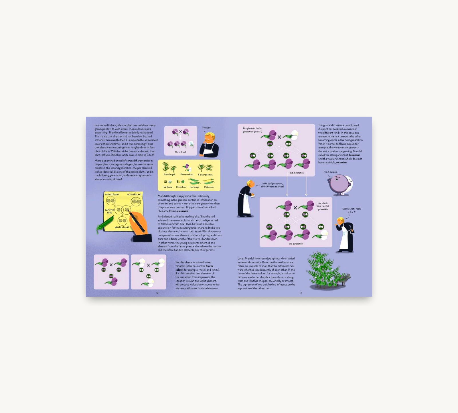 Educational poster with illustrations and text on a light purple background