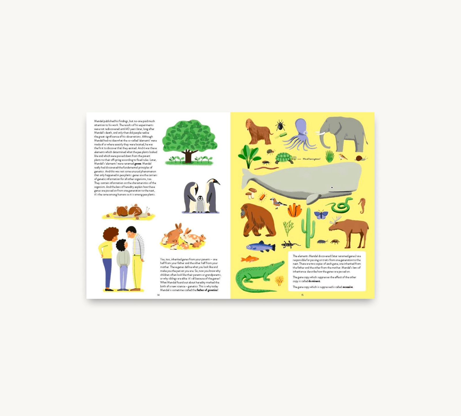 Educational book page with illustrations of animals and people on a white background