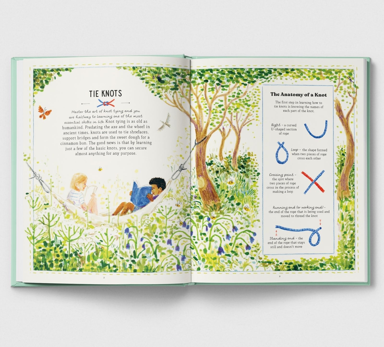 Open book with illustrations of children in a forest and knot diagrams.