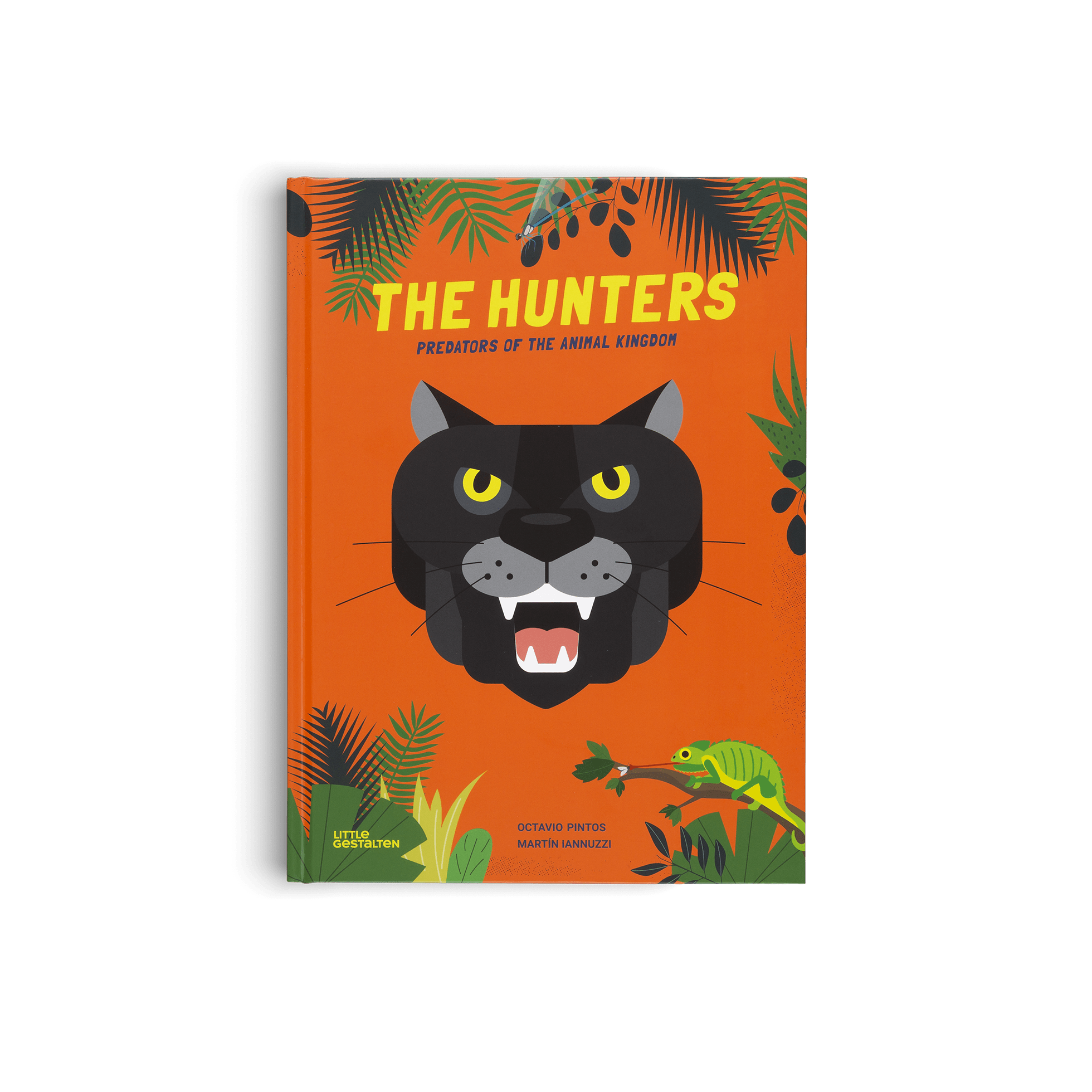 Book cover with a black panther illustration on an orange background