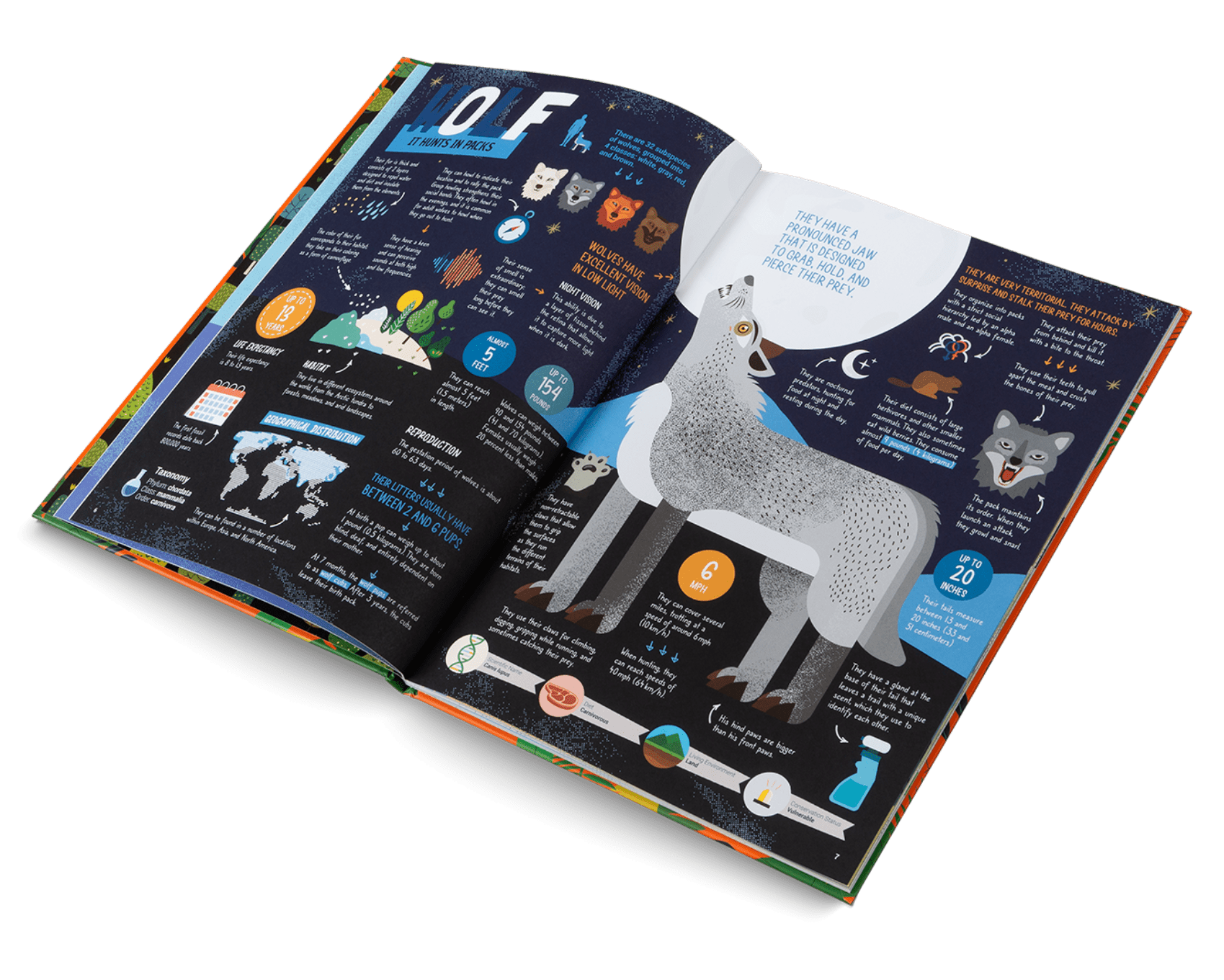 Open book with information about wolves on a white background