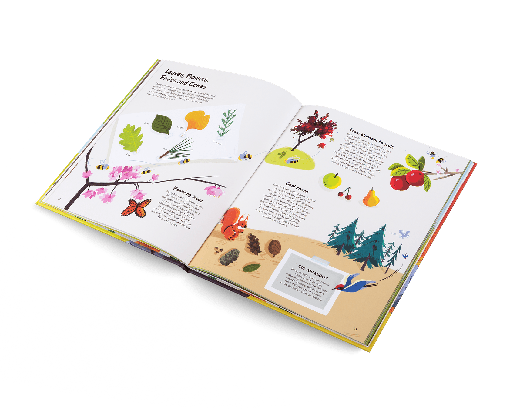 Open book with nature-themed illustrations on a white background