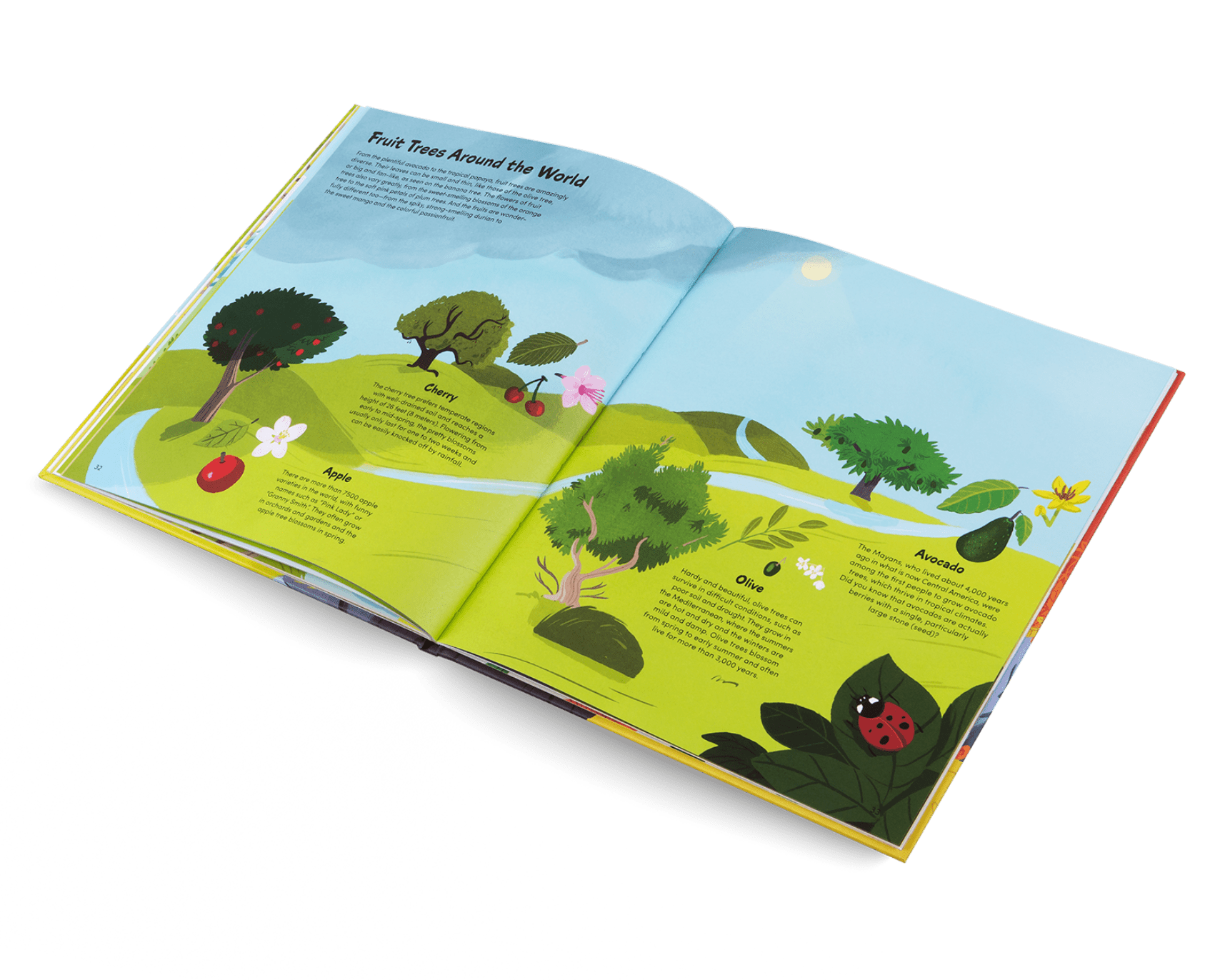 Open book with illustrations of trees and nature on a white background