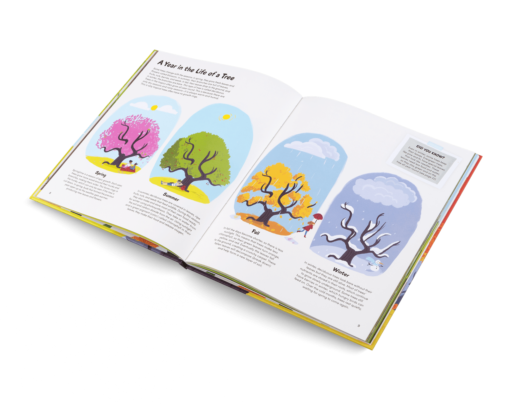 Open book showing illustrations of trees with different life stages on a white background