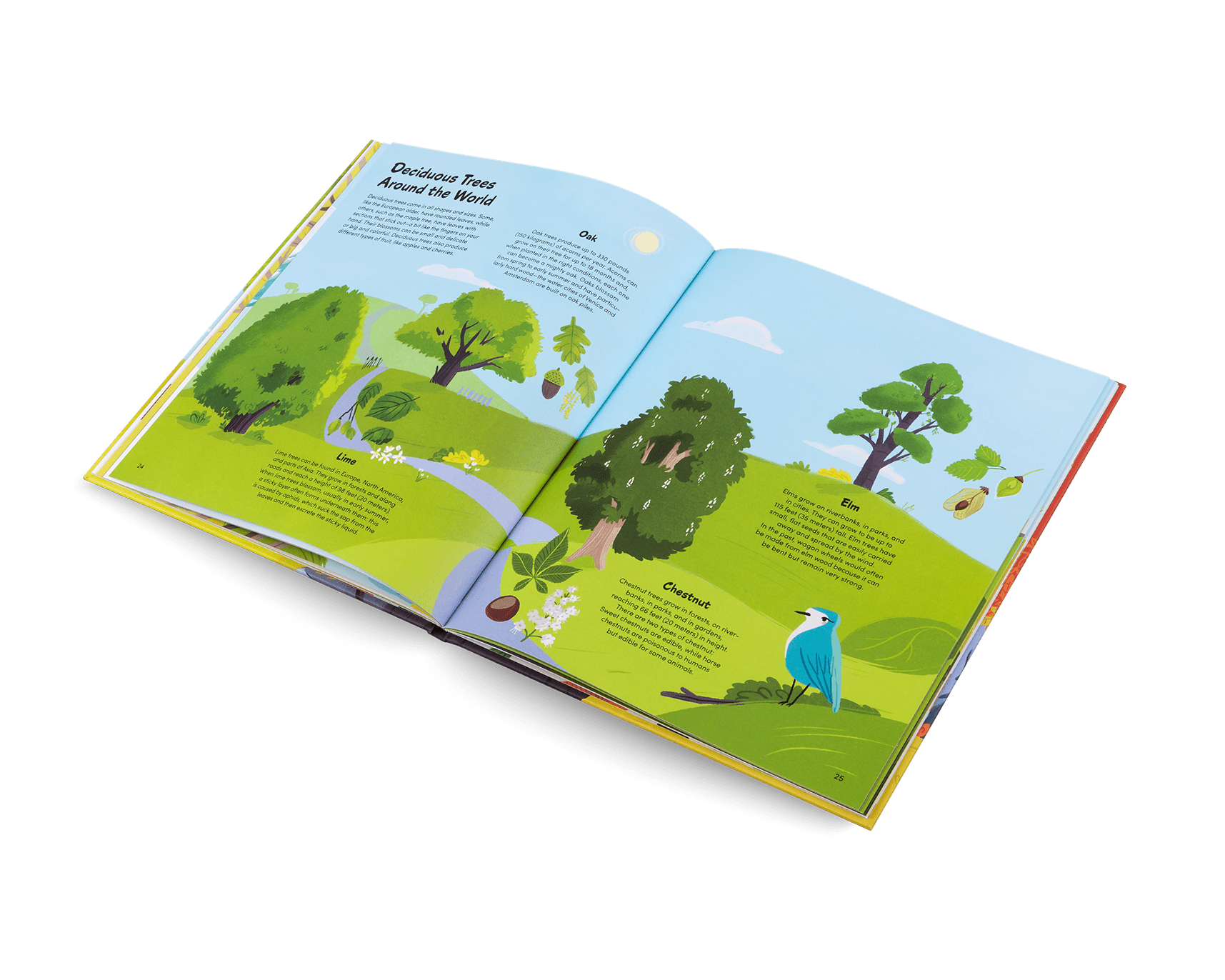 Open book with illustrations of trees and nature on a white background