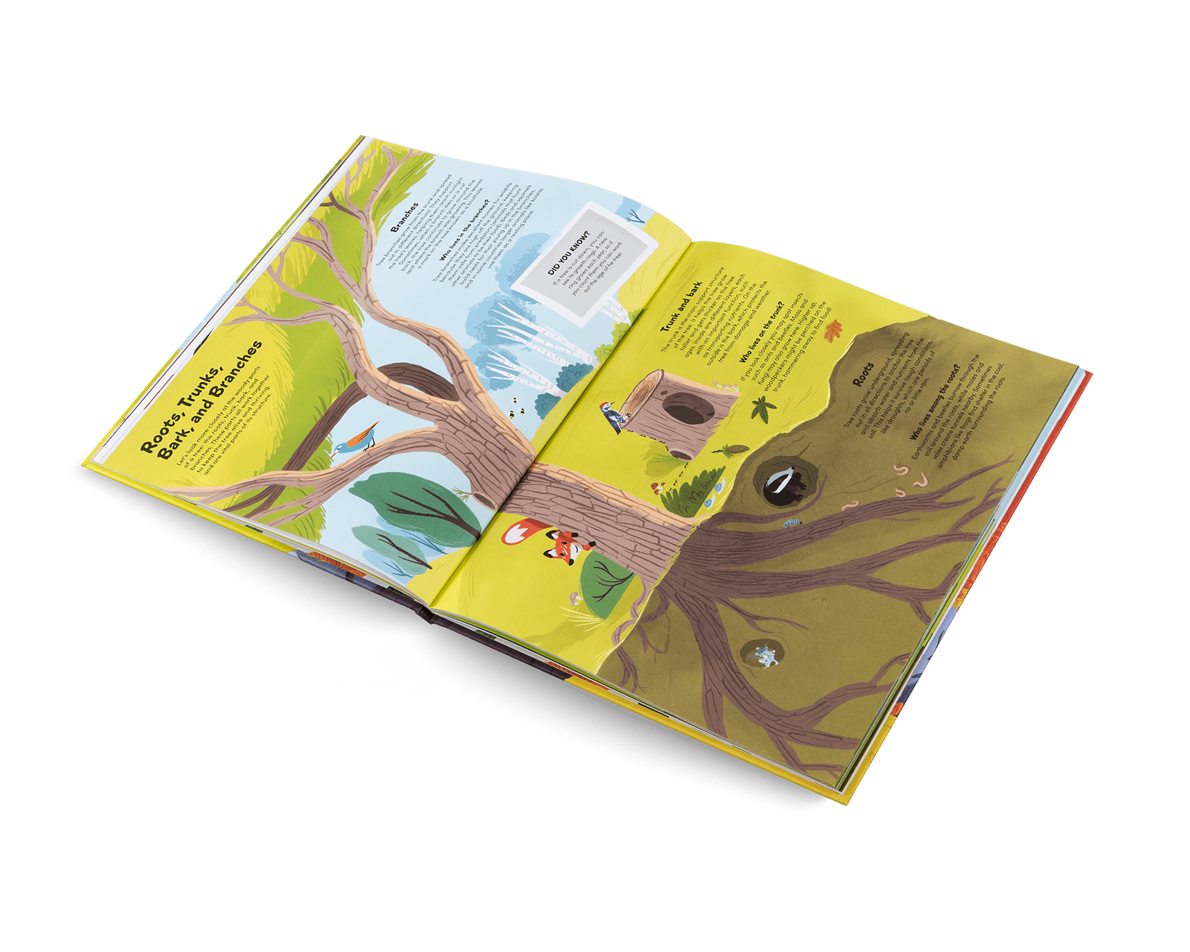 Open book with illustrations of a tree and animals on a white background
