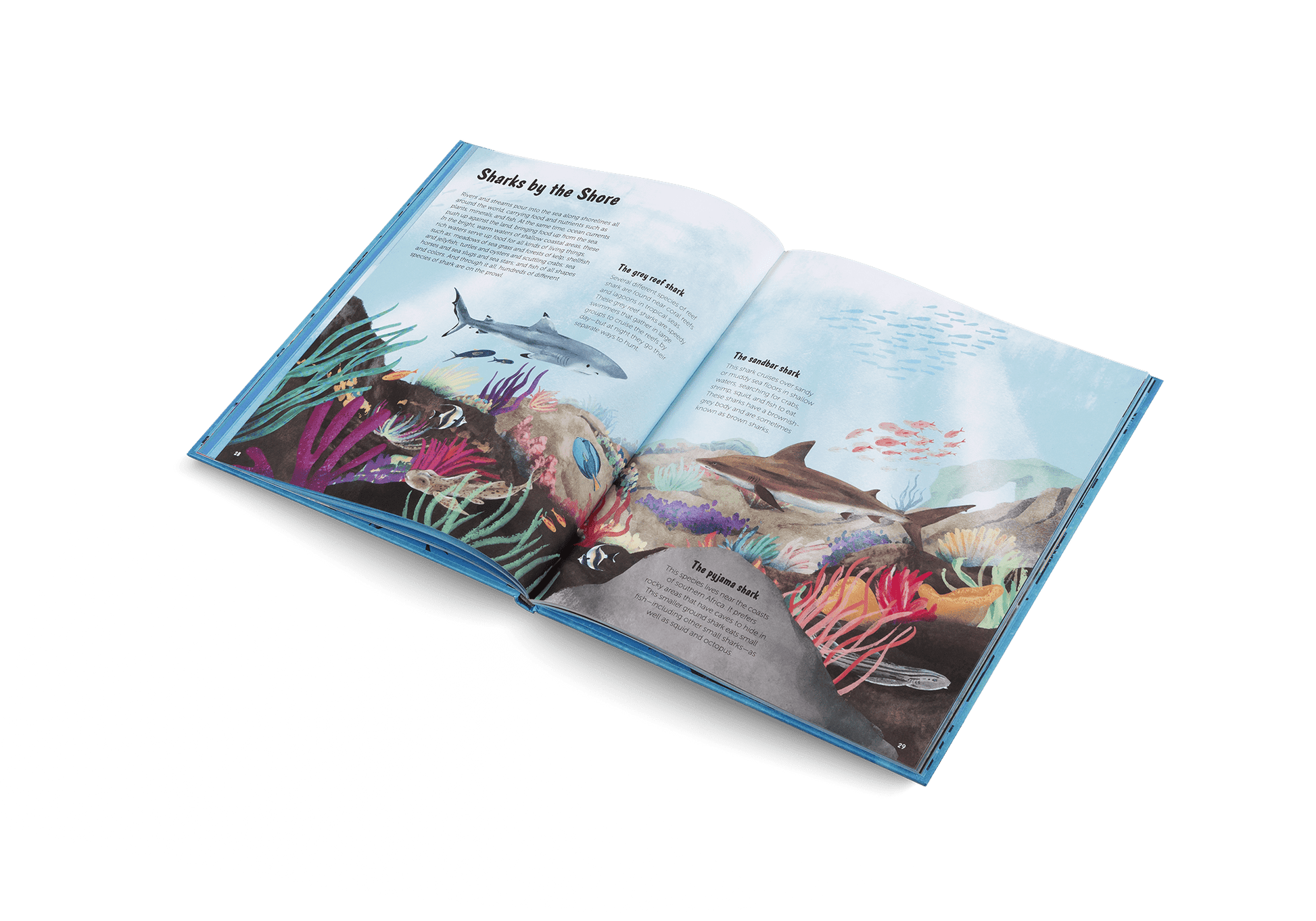 The World of Sharks - Haliburtons & Co.