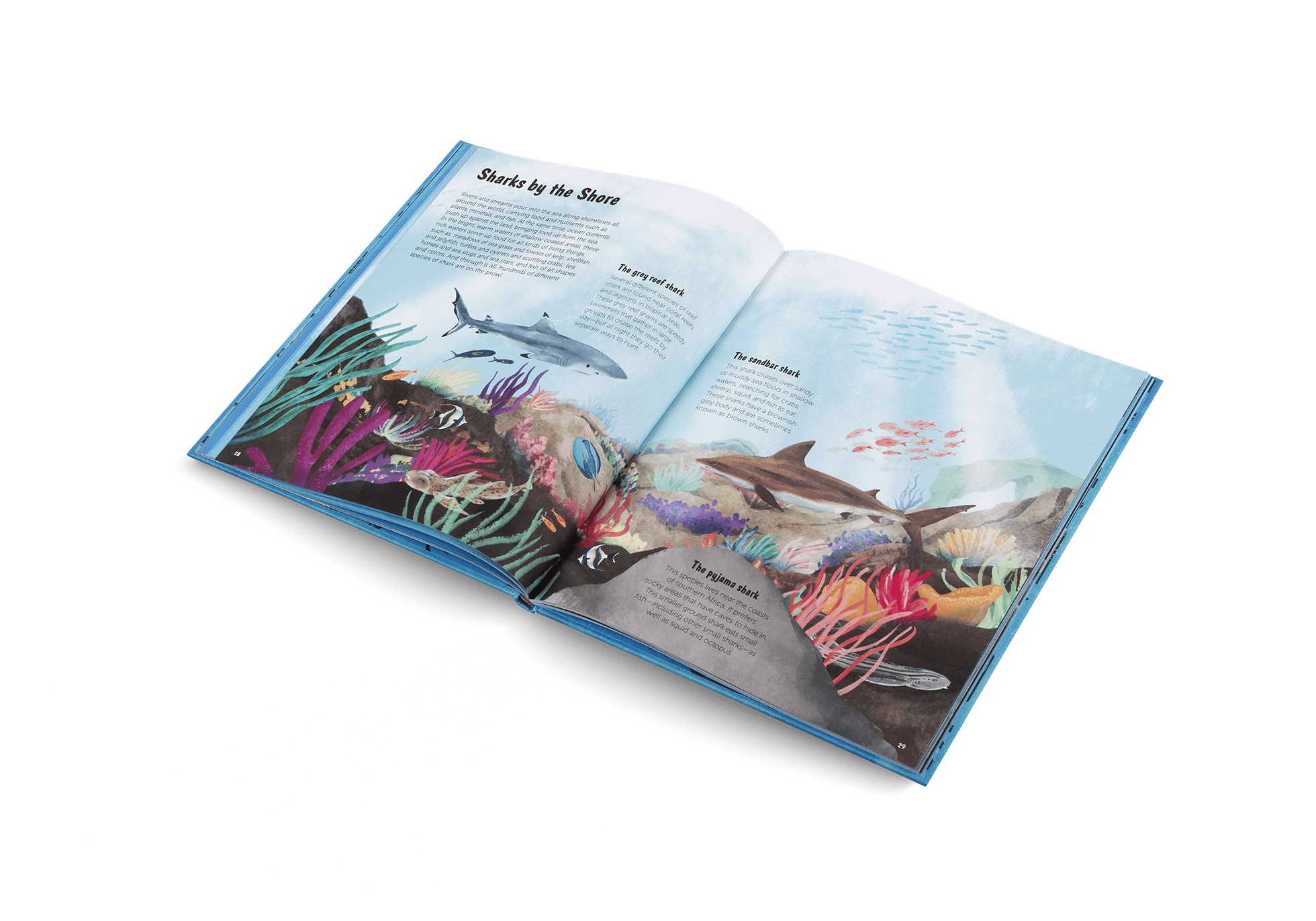 The World of Sharks - Haliburtons & Co.