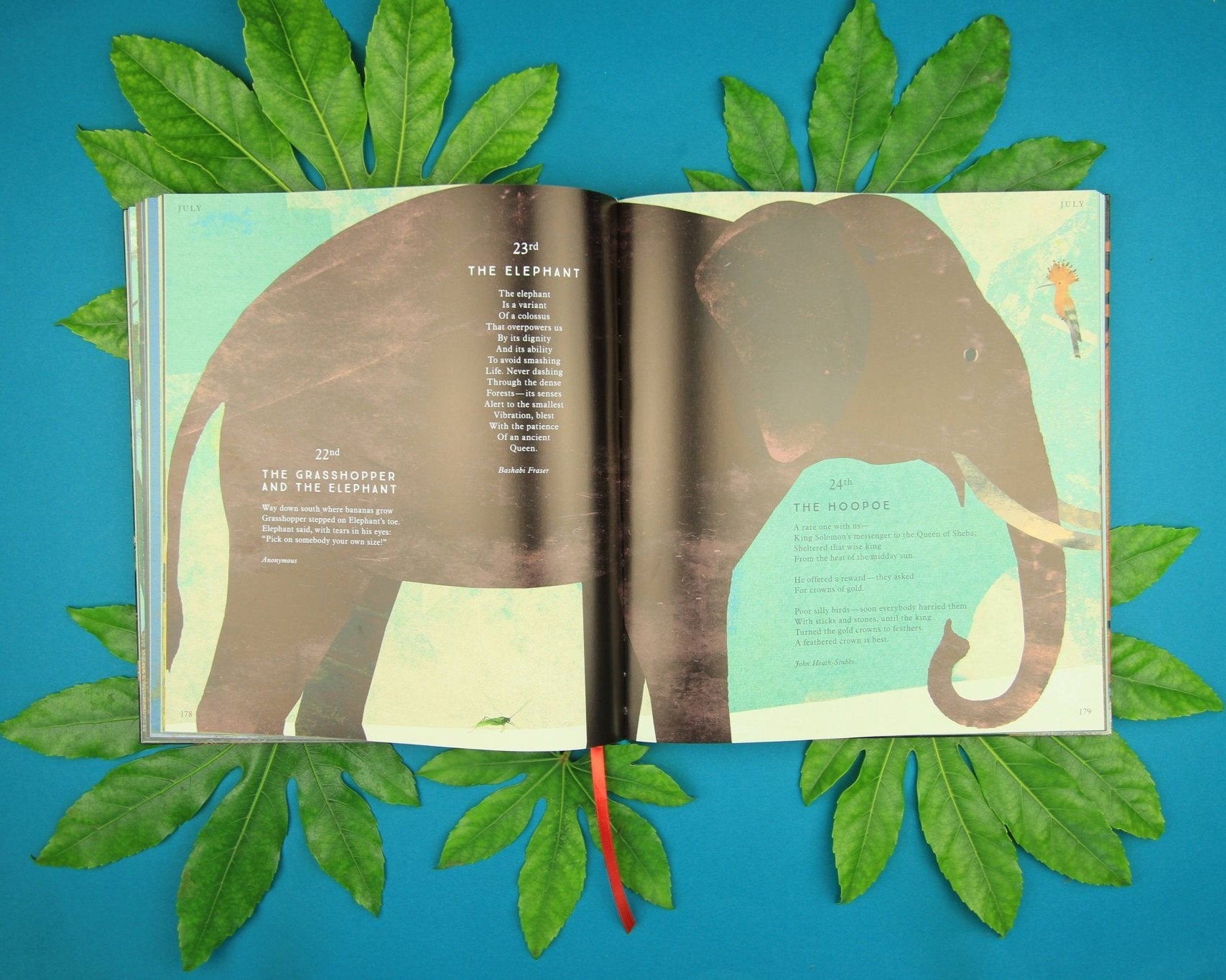 Open book showing an illustration of an elephant on a blue background with green leaves.