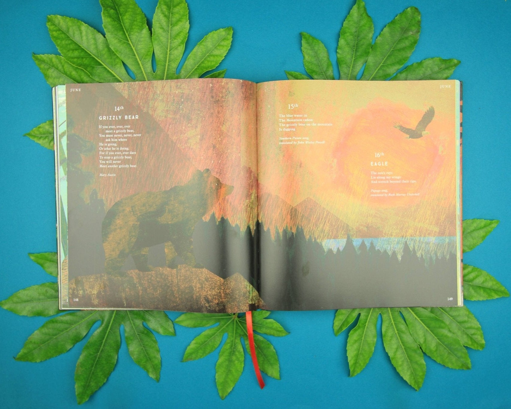 Open book with nature-themed pages on a blue background with green leaves