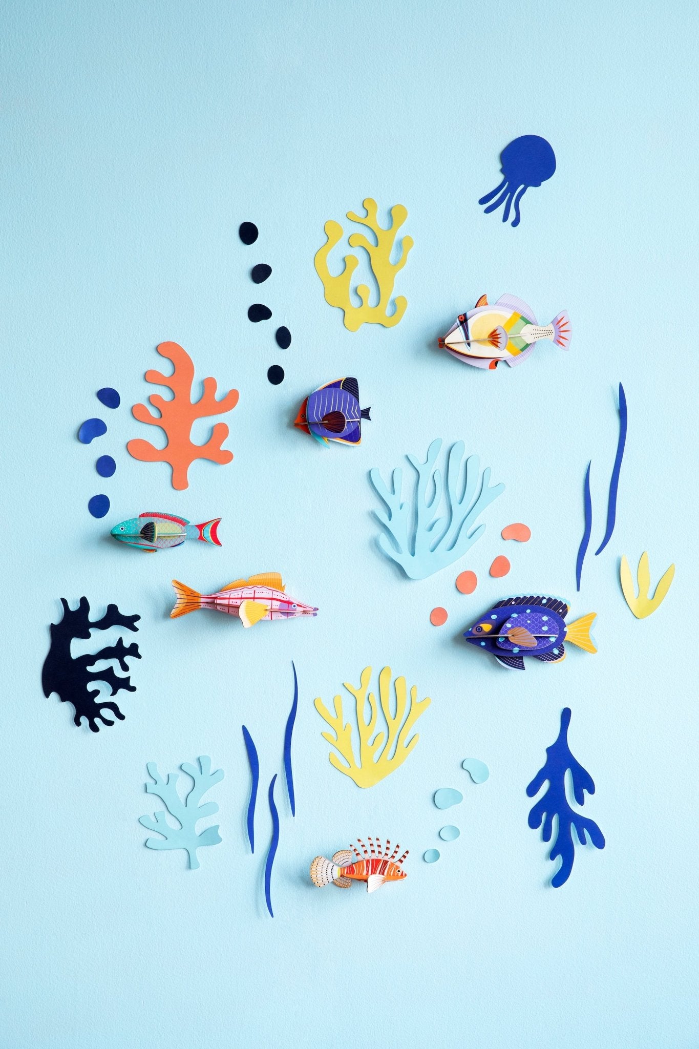 Wall of Curiosities Boxed Set: Fish - Haliburtons & Co.