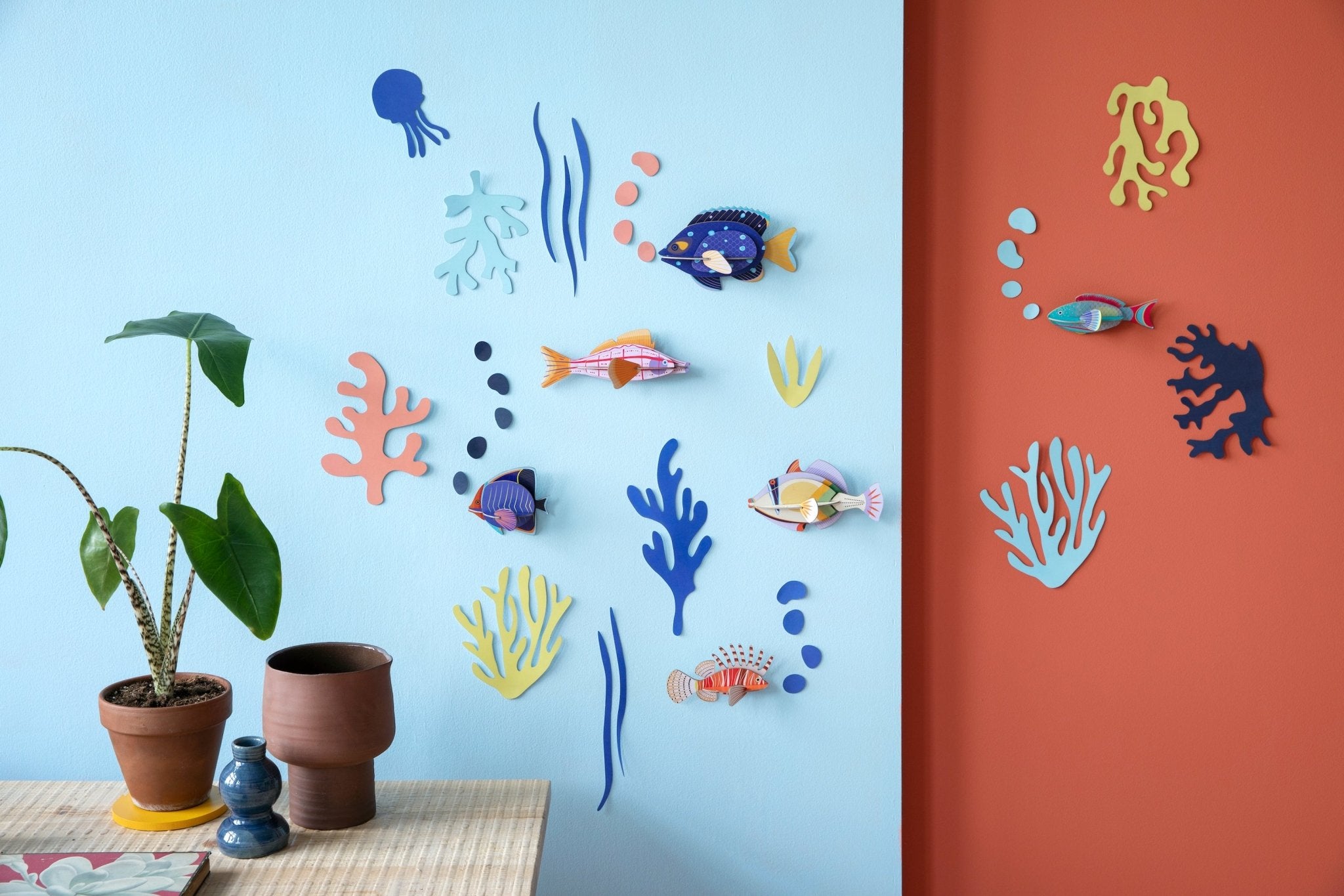 Wall of Curiosities Boxed Set: Fish - Haliburtons & Co.