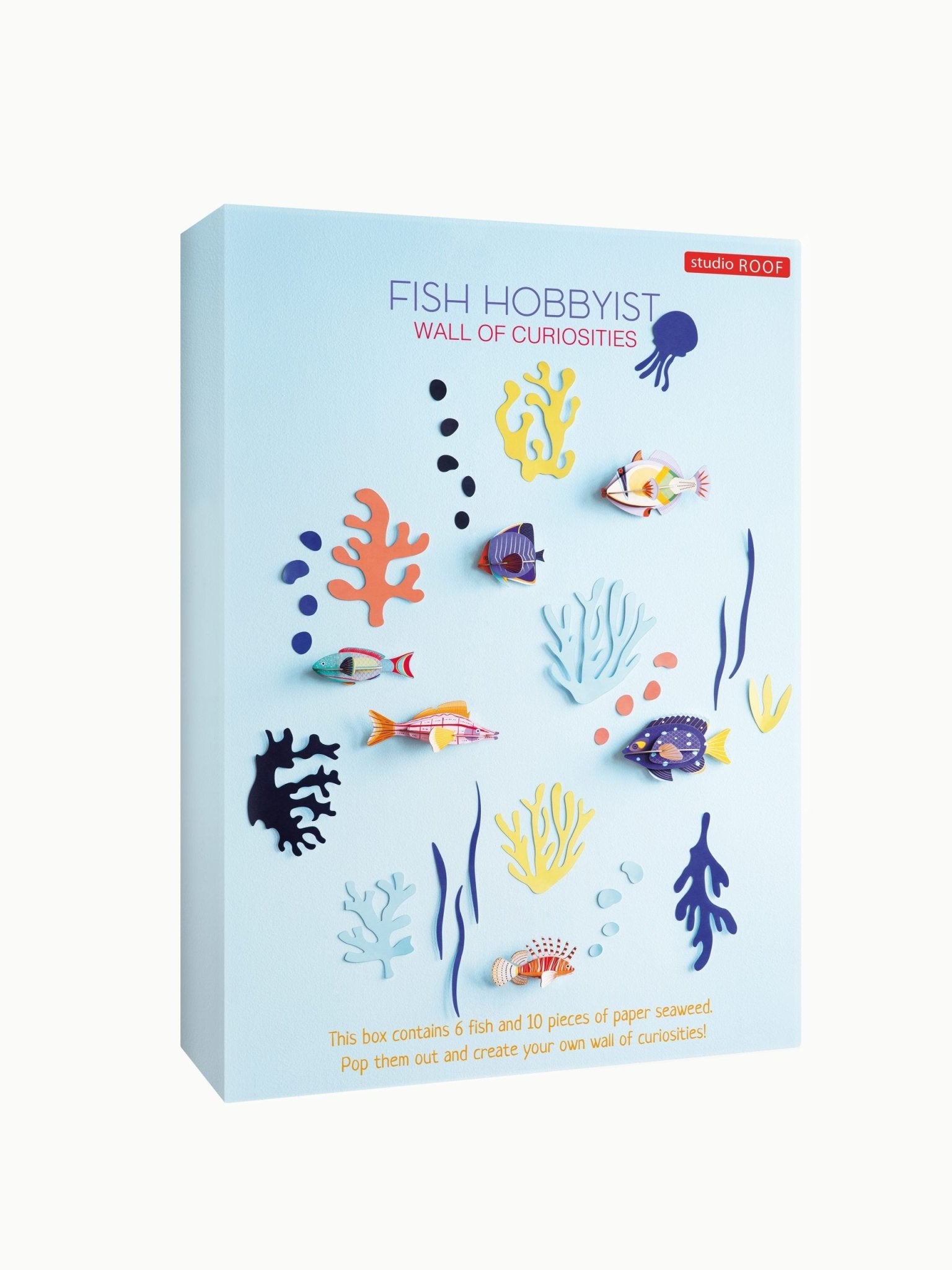 Wall of Curiosities Boxed Set: Fish - Haliburtons & Co.
