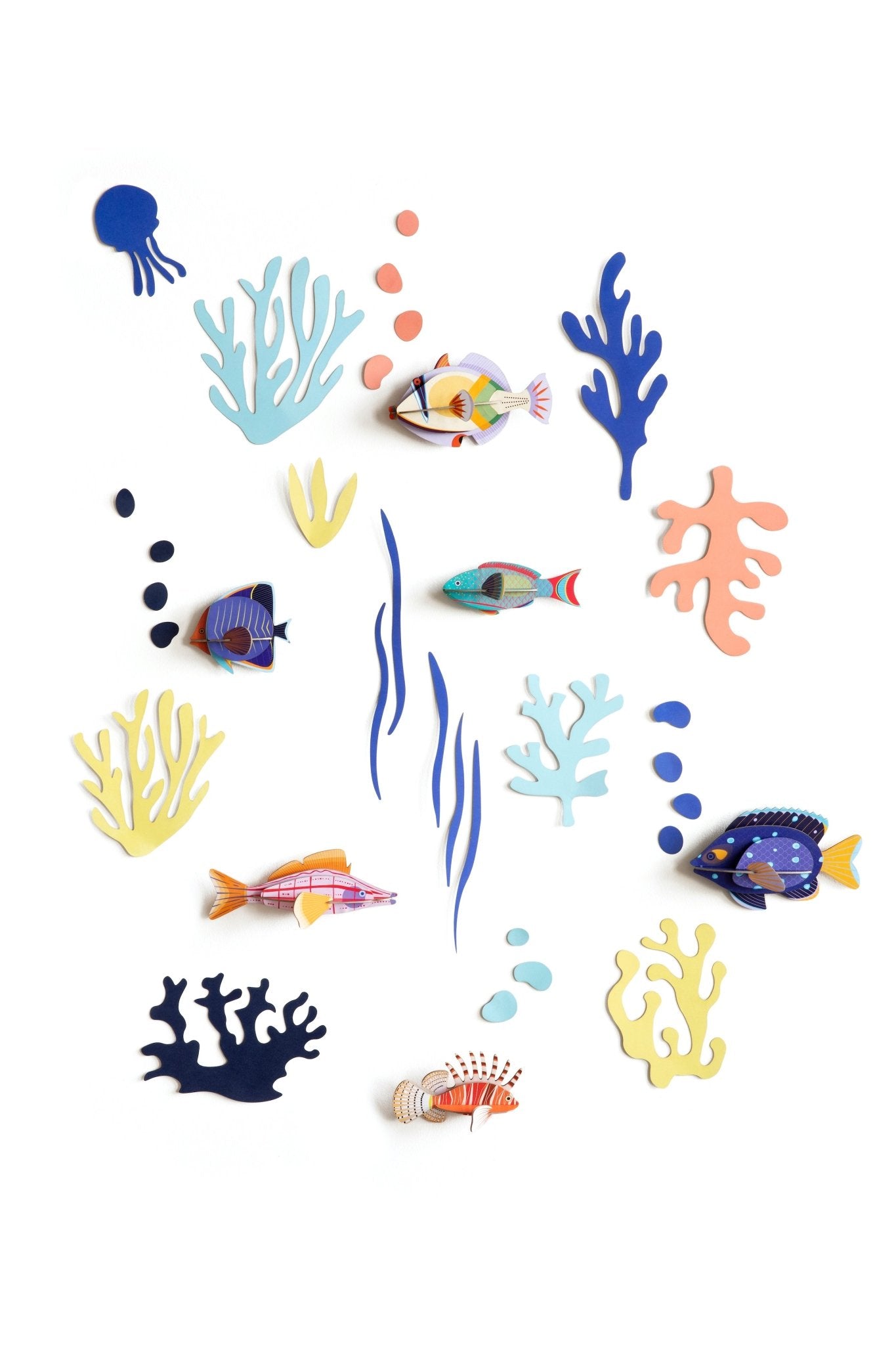 Wall of Curiosities Boxed Set: Fish - Haliburtons & Co.