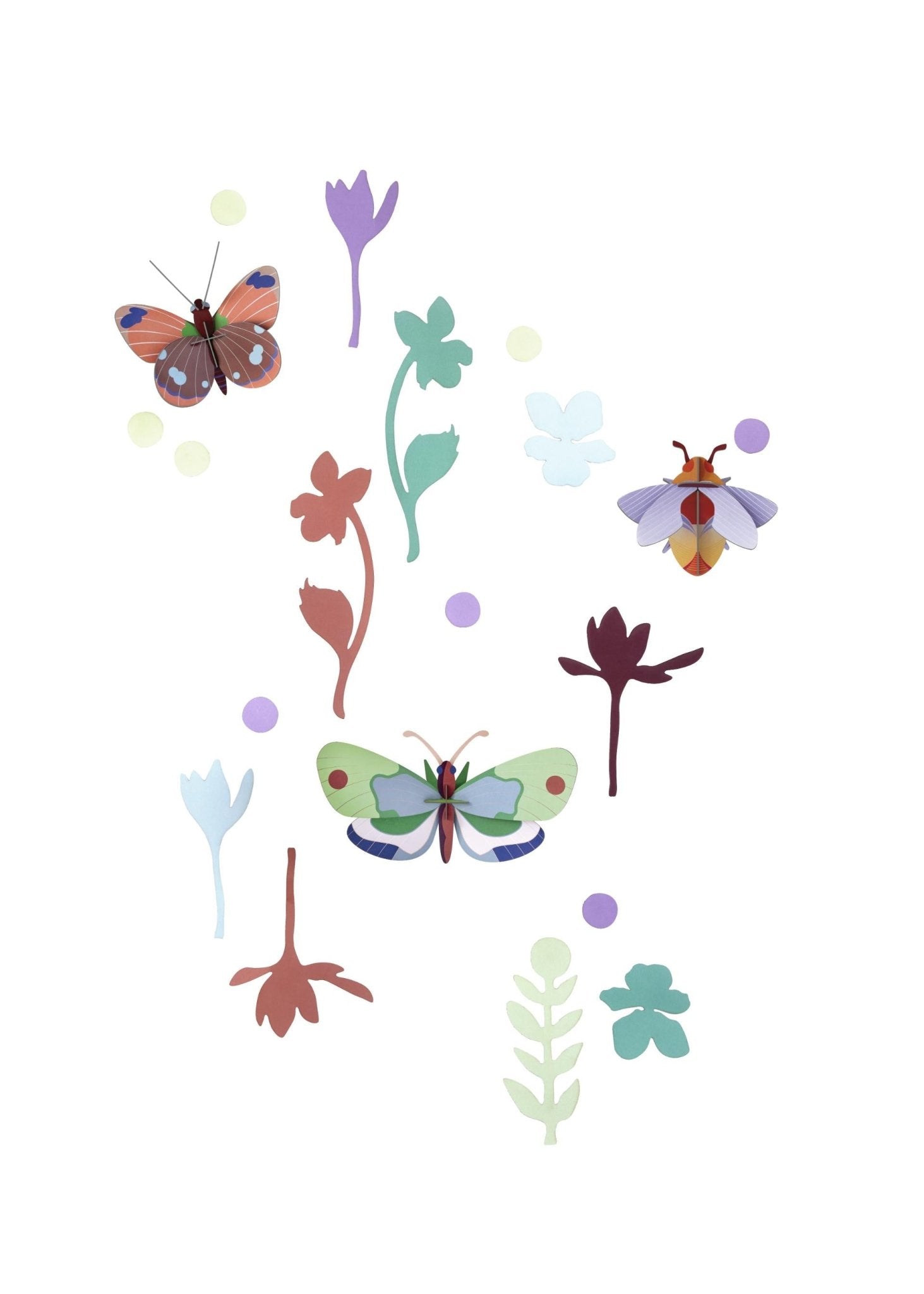 Wall of Curiosities Set: Winged Medley Trio - Haliburtons & Co.