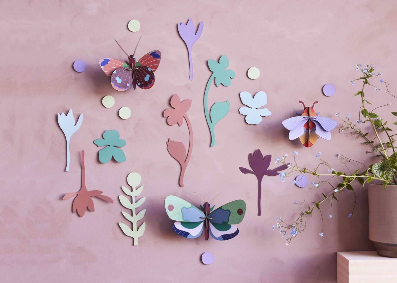 Wall of Curiosities Set: Winged Medley Trio - Haliburtons & Co.