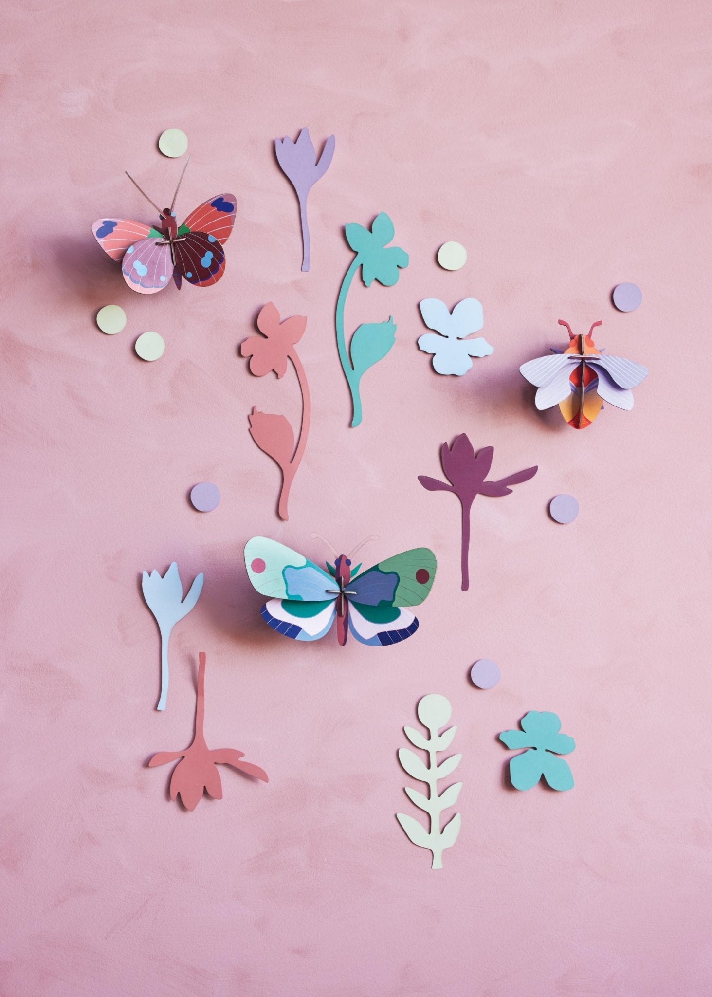 Wall of Curiosities Set: Winged Medley Trio - Haliburtons & Co.