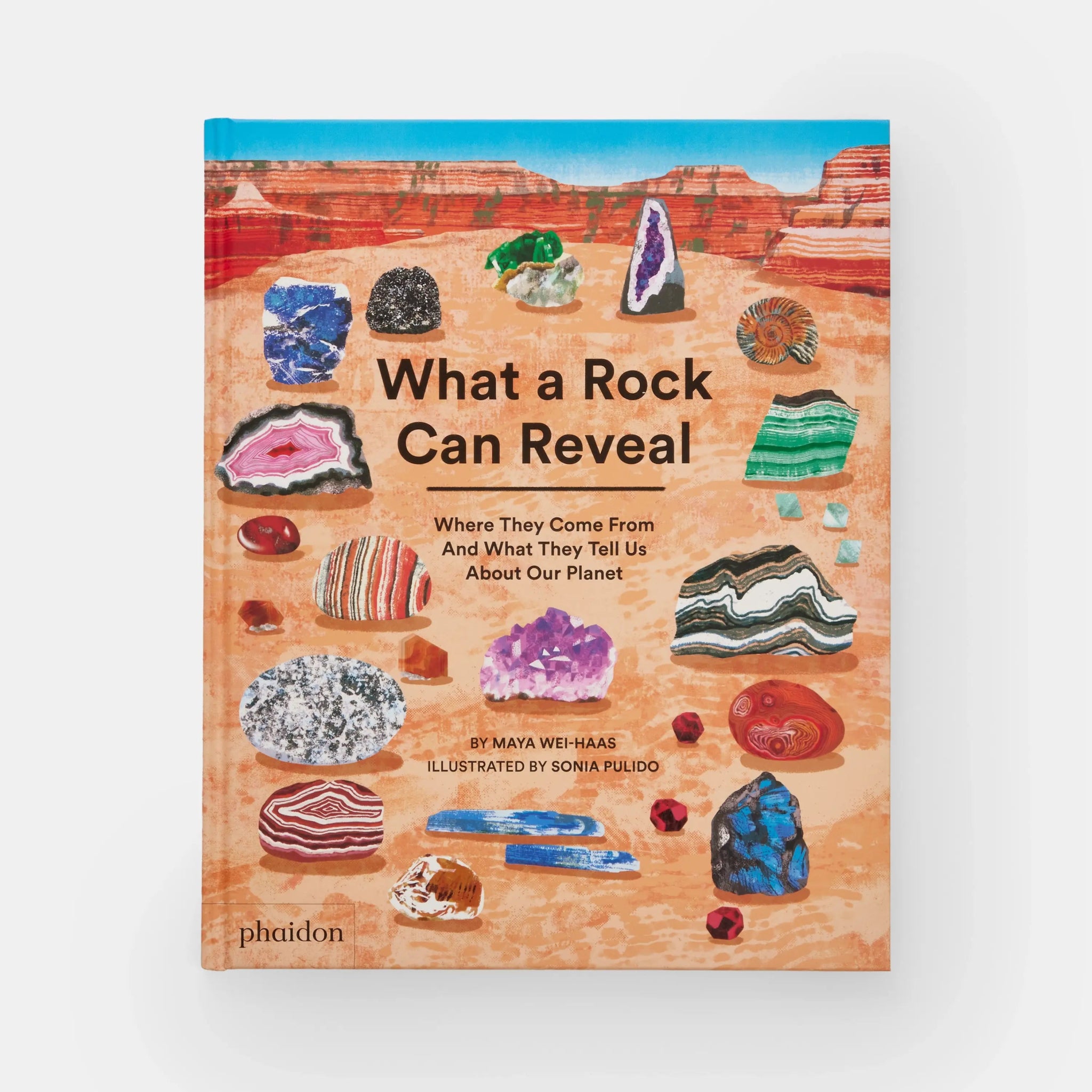 What a Rock Can Reveal - Haliburtons & Co.