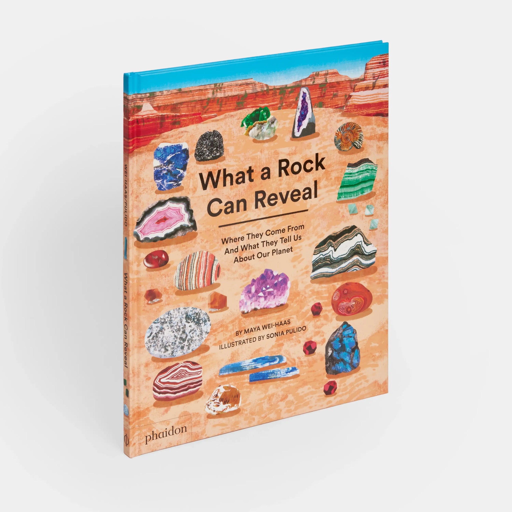 What a Rock Can Reveal - Haliburtons & Co.