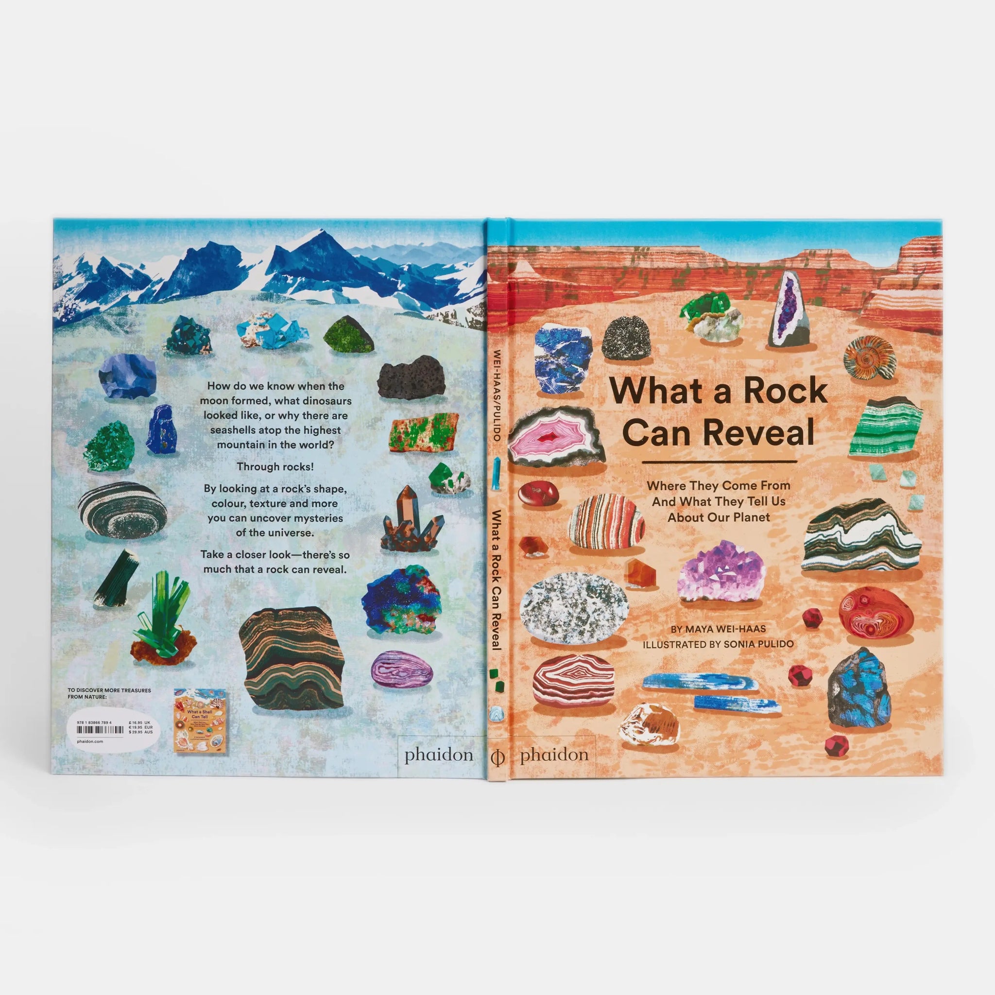 What a Rock Can Reveal - Haliburtons & Co.