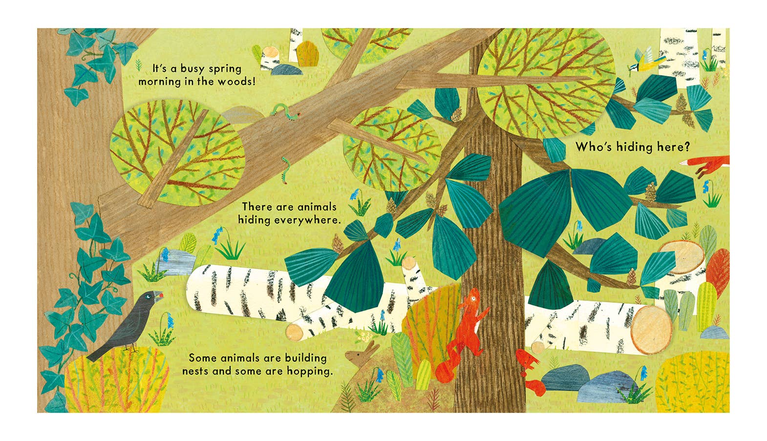 Who's Hiding in the Woods? - Haliburtons & Co.