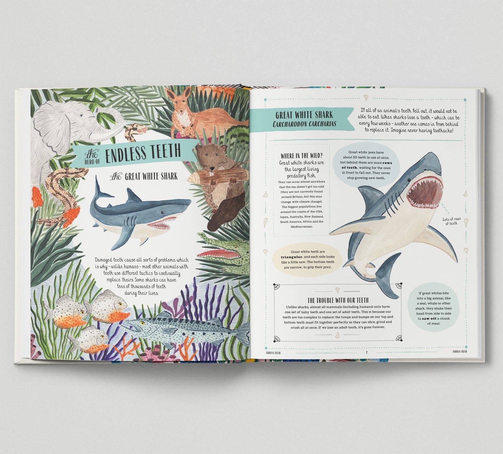 Open book with illustrations of a shark and text on a gray background
